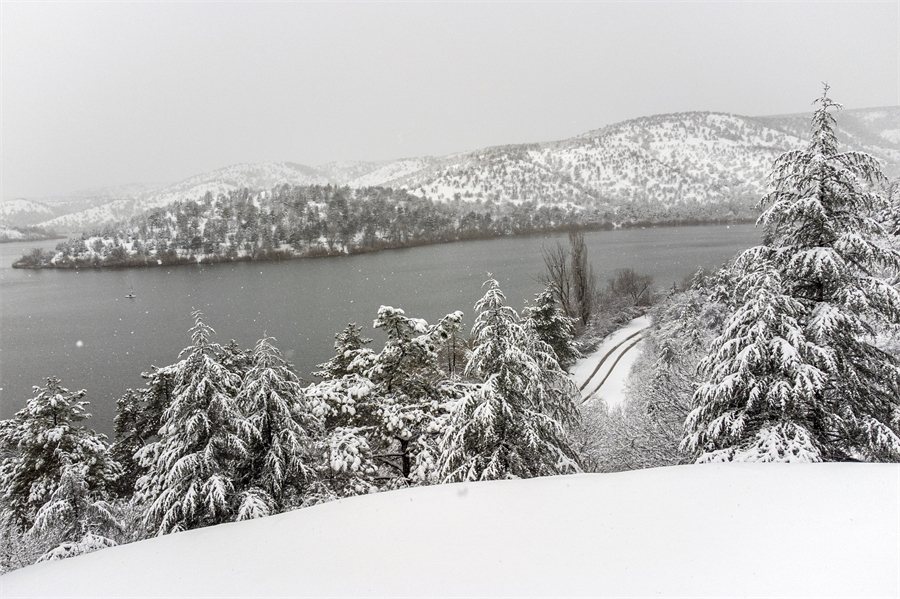 ICPhoto(qun)ƷՈD(zhun)d