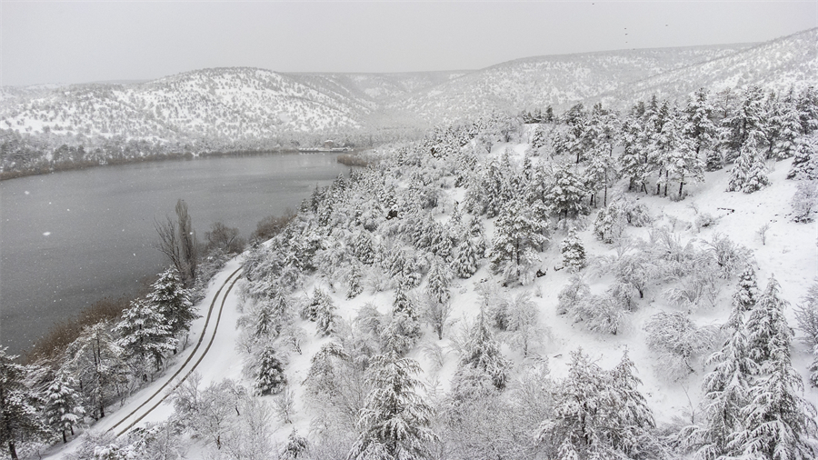 ICPhoto(qun)ƷՈD(zhun)d