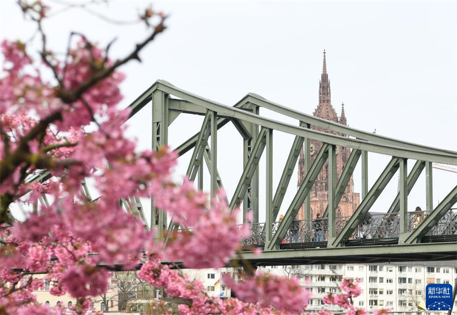 316m˸rʢ_m˸Кuůϵrε_šAӛ  z