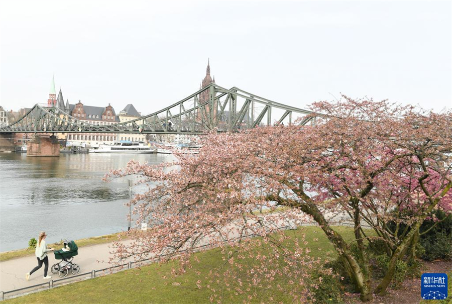 316m˸rʢ_գm˸Кuůϵrε_šAӛ  z