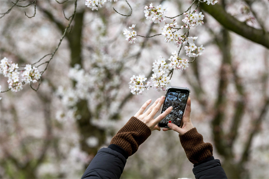 |IC(qun)ƷՈD(zhun)d