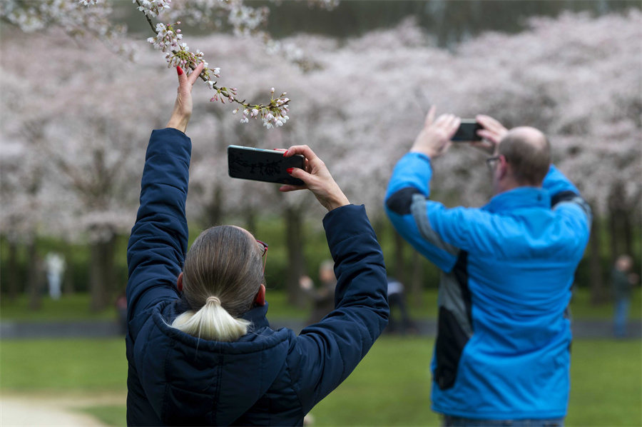 |IC(qun)ƷՈD(zhun)d