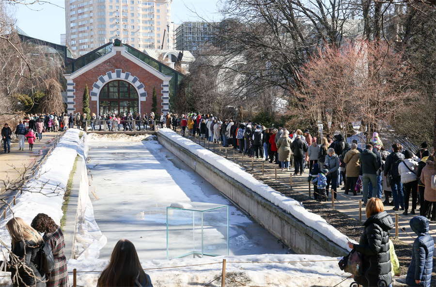 |IC(qun)ƷՈD(zhun)d