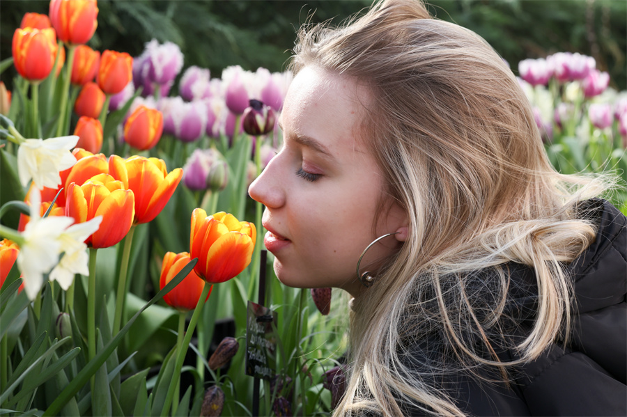 |IC(qun)ƷՈ(qng)D(zhun)d