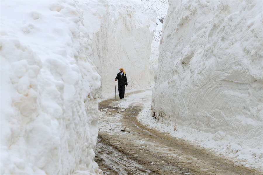 |IC(qun)ƷՈ(qng)D(zhun)d