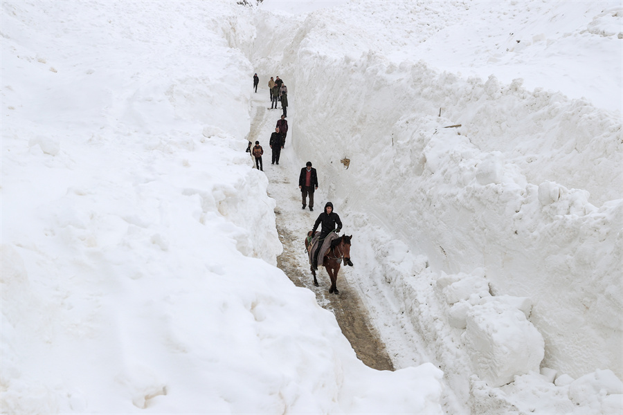 |IC(qun)ƷՈ(qng)D(zhun)d