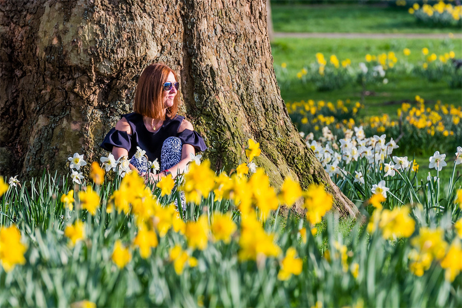 |IC(qun)ƷՈD(zhun)d