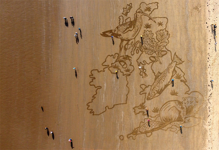 |IC(qun)ƷՈD(zhun)d