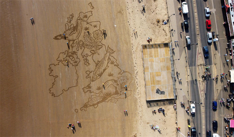 |IC(qun)ƷՈ(qng)D(zhun)d