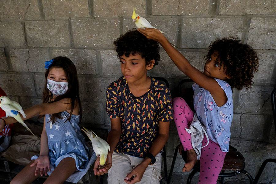 |IC(qun)ƷՈ(qng)D(zhun)d