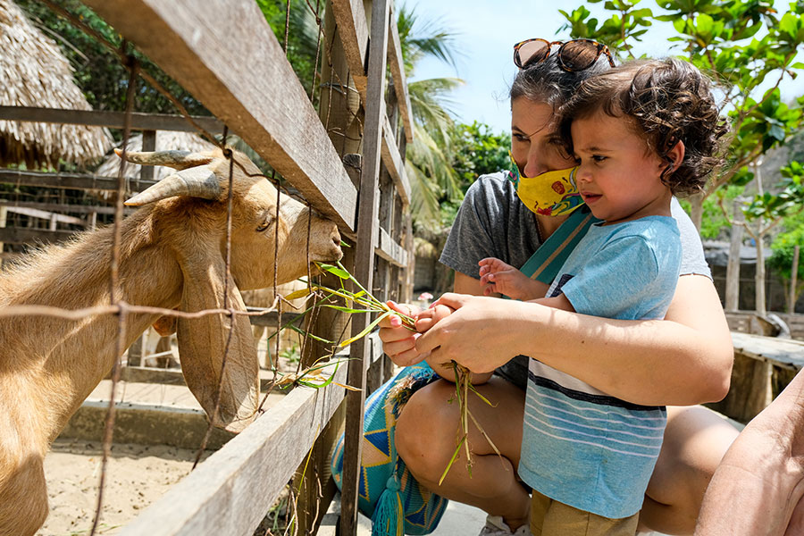 |IC(qun)ƷՈD(zhun)d