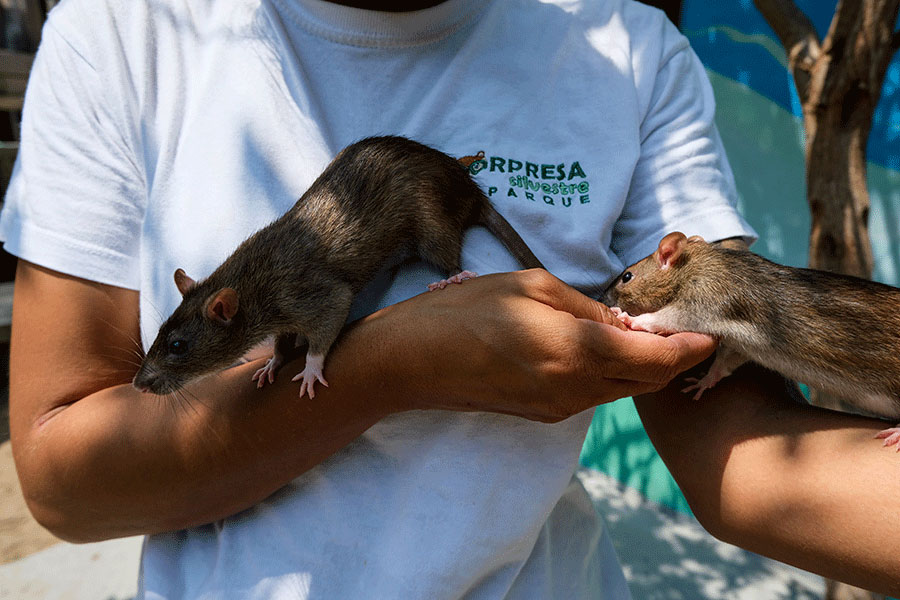 |IC(qun)ƷՈ(qng)D(zhun)d