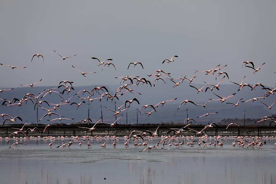 ICPhoto(qun)ƷՈ(qng)D(zhun)d