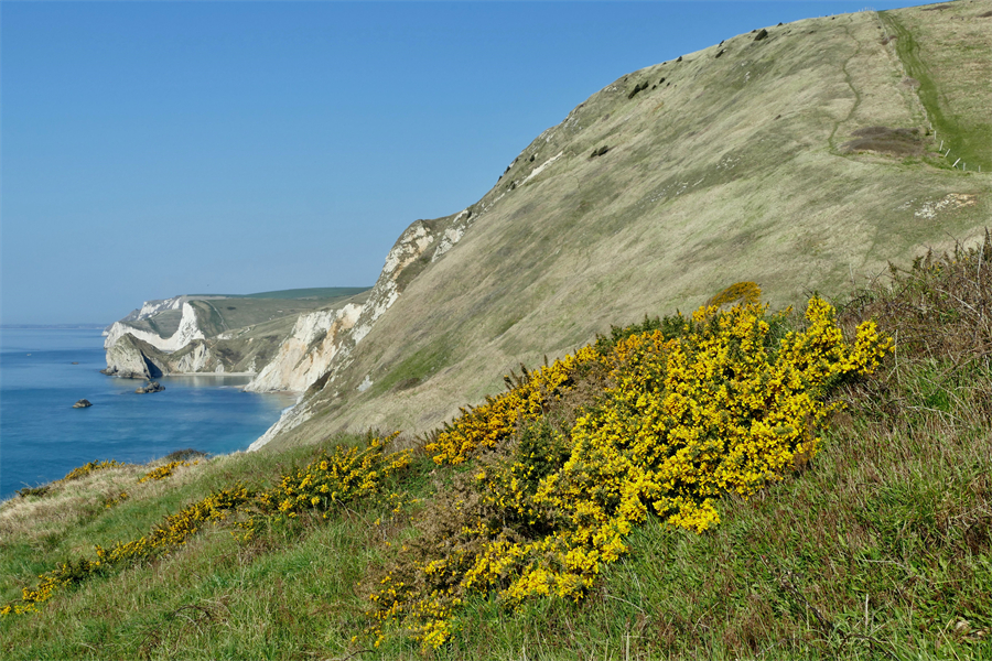 ICPhoto(qun)ƷՈ(qng)D(zhun)d