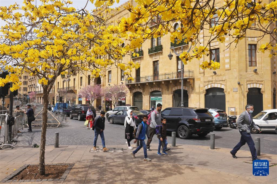 331ؐ˂ʢ_(ki)SL(fng)ľ^(gu)۽궬꺮r(sh)g^L(zhng)(li)tůؐ[Ѕ^(q)L(fng)ľ`ʾ쵽(li)Aӛ ځ z