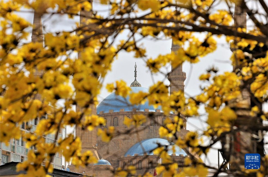 @331ؐĔzʢ_SL(fng)ľ۽궬꺮rg^Ltůؐ[Ѕ^(q)L(fng)ľ`ţʾ쵽Aӛ ځ z