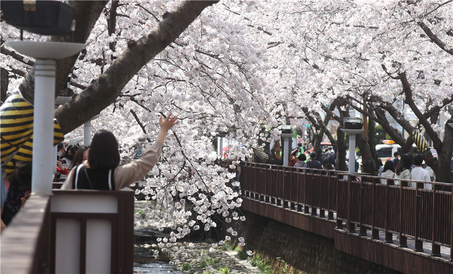 ICPhoto(qun)ƷՈ(qng)D(zhun)d