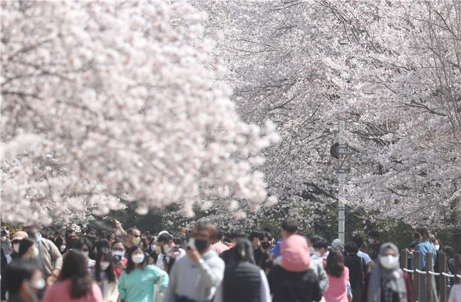 ICPhoto(qun)ƷՈ(qng)D(zhun)d