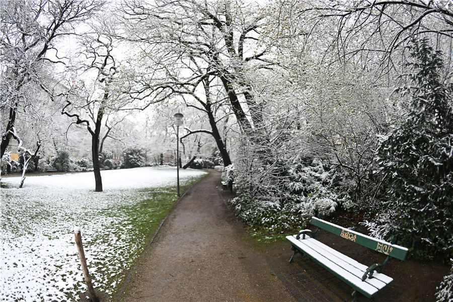 ICPhoto(qun)ƷՈ(qng)D(zhun)d