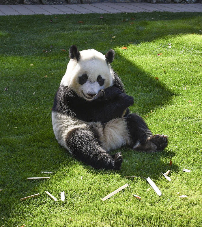 ?sh)ؕrg202245ձ͸ɽhձ͸ɽh͸ɽҰ@(ni)؈FuhinڑˣҕXЇƷՈD(zhun)d