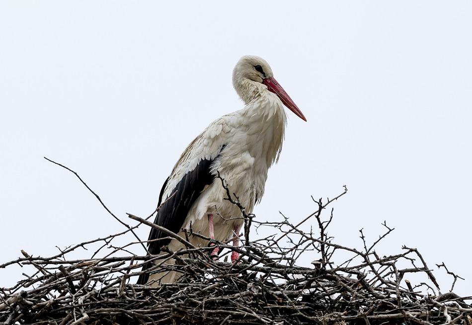 (dng)?sh)ؕr(sh)g202245䰲L;XҕXЇ(qun)ƷՈ(qng)D(zhun)d