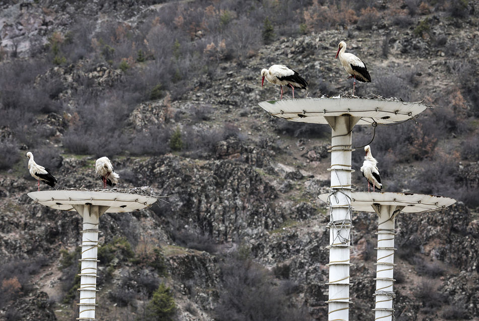 ?sh)ؕrg202245䰲L;XҕXЇ(qun)ƷՈD(zhun)d