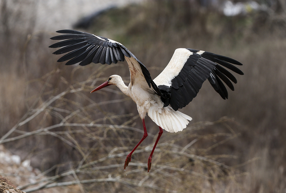 (dng)?sh)ؕr(sh)g202245䰲L;XҕXЇ(qun)ƷՈD(zhun)d