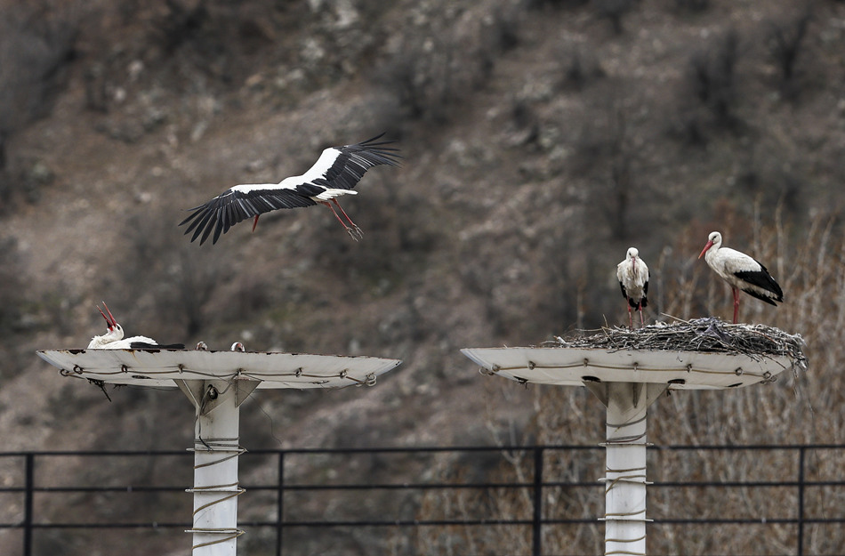 (dng)?sh)ؕr(sh)g202245䰲L;XҕXЇ(qun)ƷՈD(zhun)d