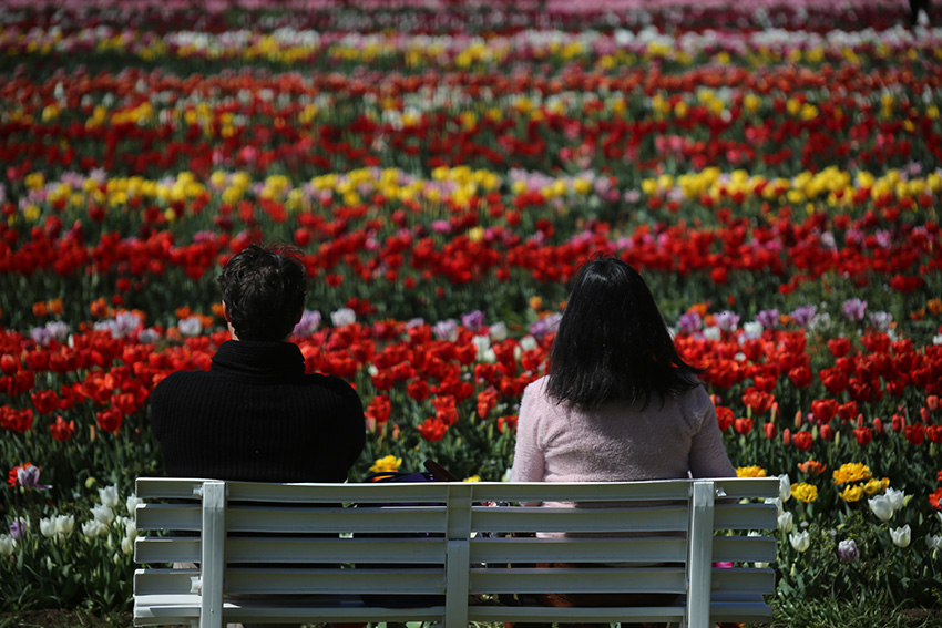 IC Photo(qun)ƷՈD(zhun)d