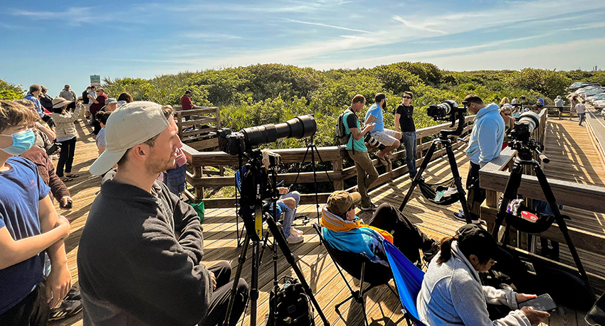 IC Photo(qun)ƷՈD(zhun)d