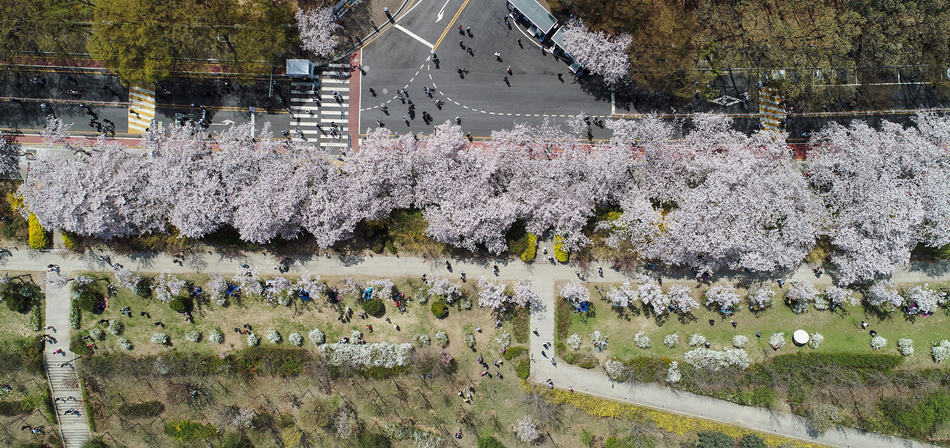 ҕXЇ(qun)ƷՈD(zhun)d