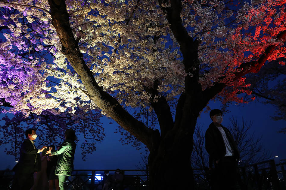 ҕXЇ(gu)(qun)ƷՈ(qng)D(zhun)d