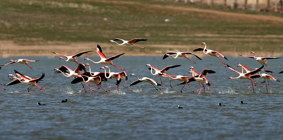 ҕXЇ(qun)ƷՈD(zhun)d