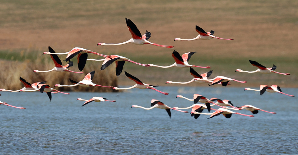 ҕXЇ(qun)ƷՈD(zhun)d