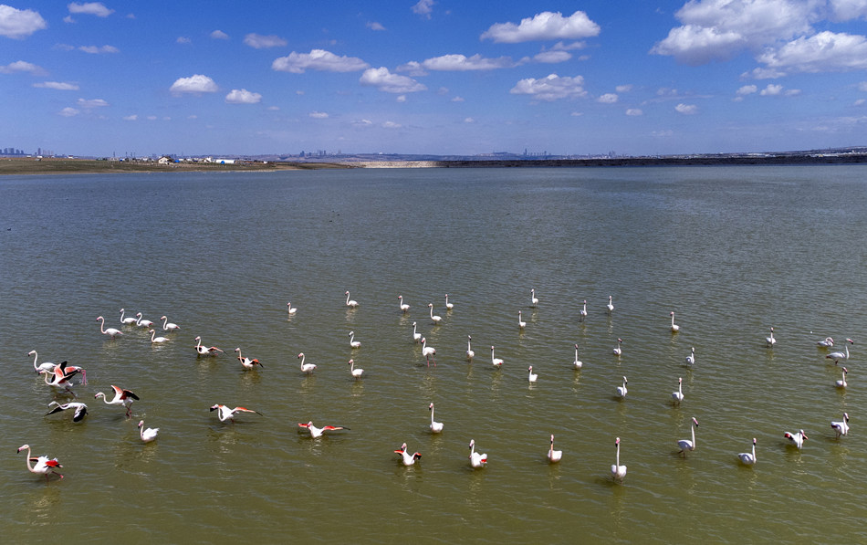 ҕX(ju)Ї(gu)(qun)ƷՈ(qng)D(zhun)d