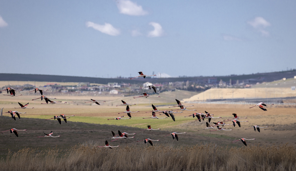 ҕXЇ(qun)ƷՈD(zhun)d