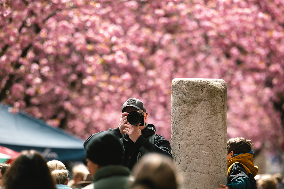 ҕXЇ(qun)ƷՈD(zhun)d