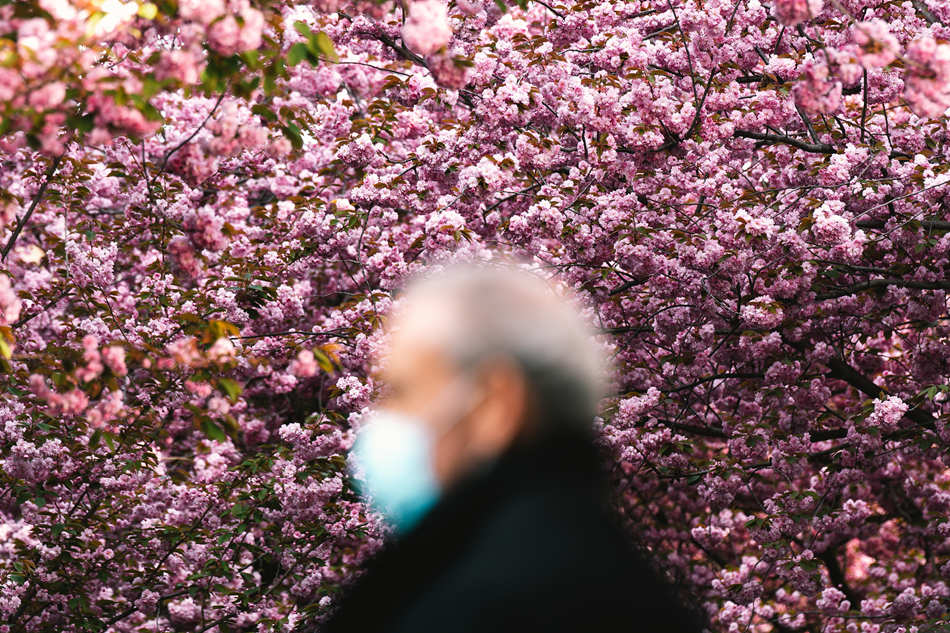 ҕXЇ(qun)ƷՈD(zhun)d