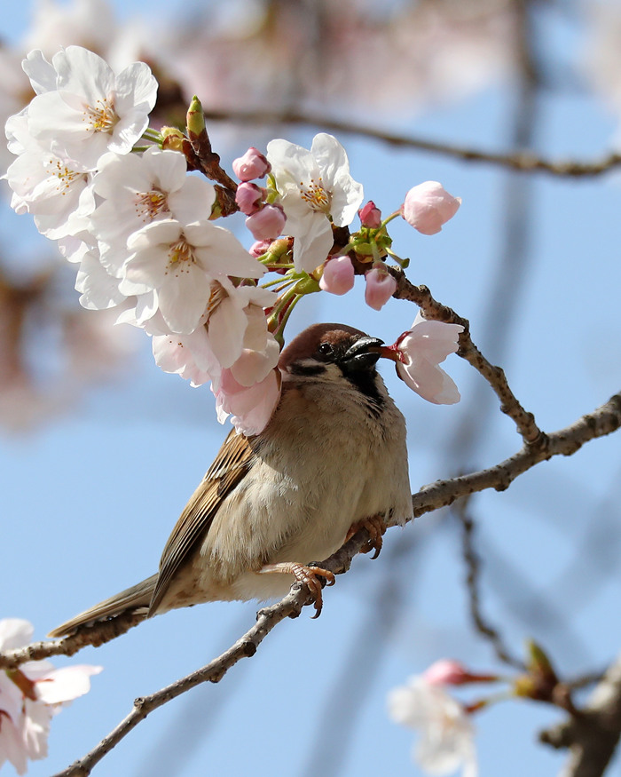 ҕXЇ(gu)(qun)ƷՈ(qng)D(zhun)d