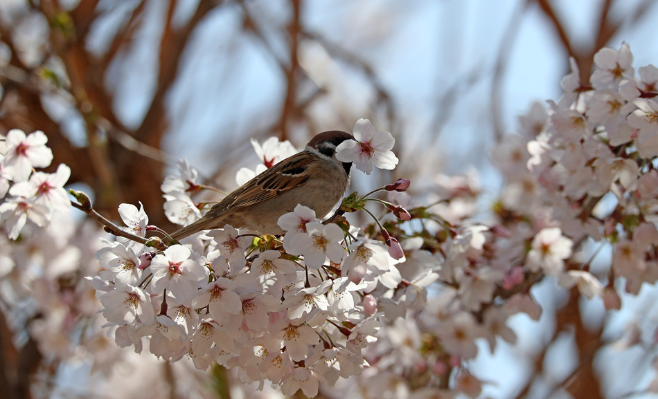 ҕX(ju)Ї(gu)(qun)ƷՈ(qng)D(zhun)d