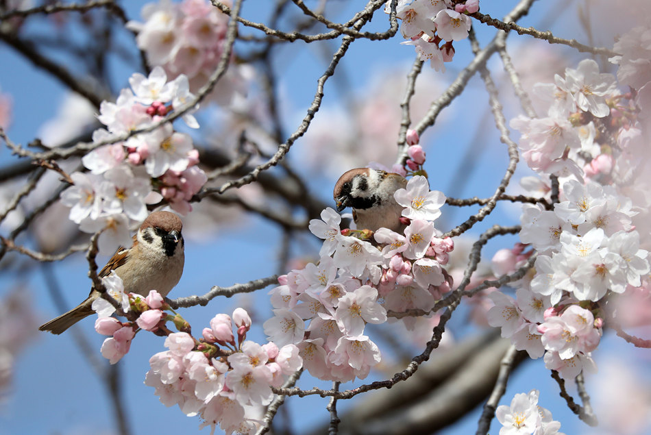 ҕXЇ(qun)ƷՈD(zhun)d