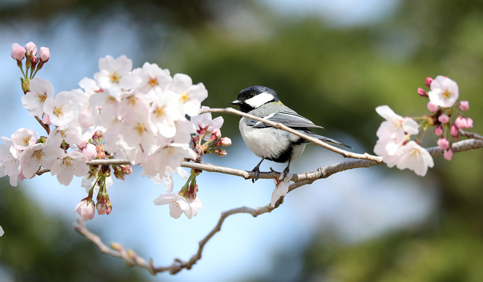 ҕXЇ(qun)ƷՈD(zhun)d