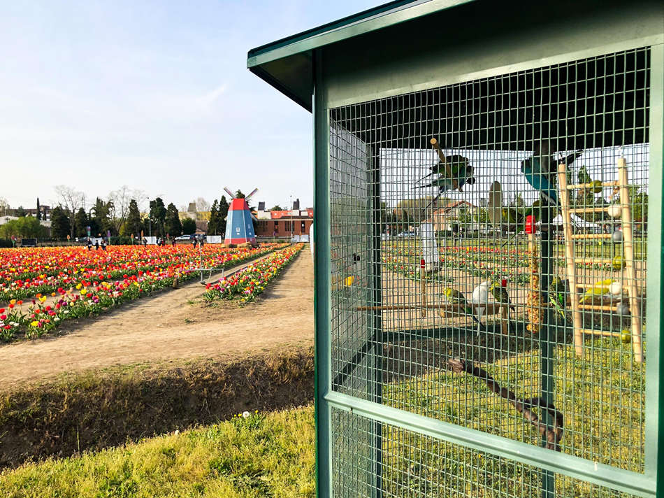 ҕX(ju)Ї(gu)(qun)ƷՈ(qng)D(zhun)d