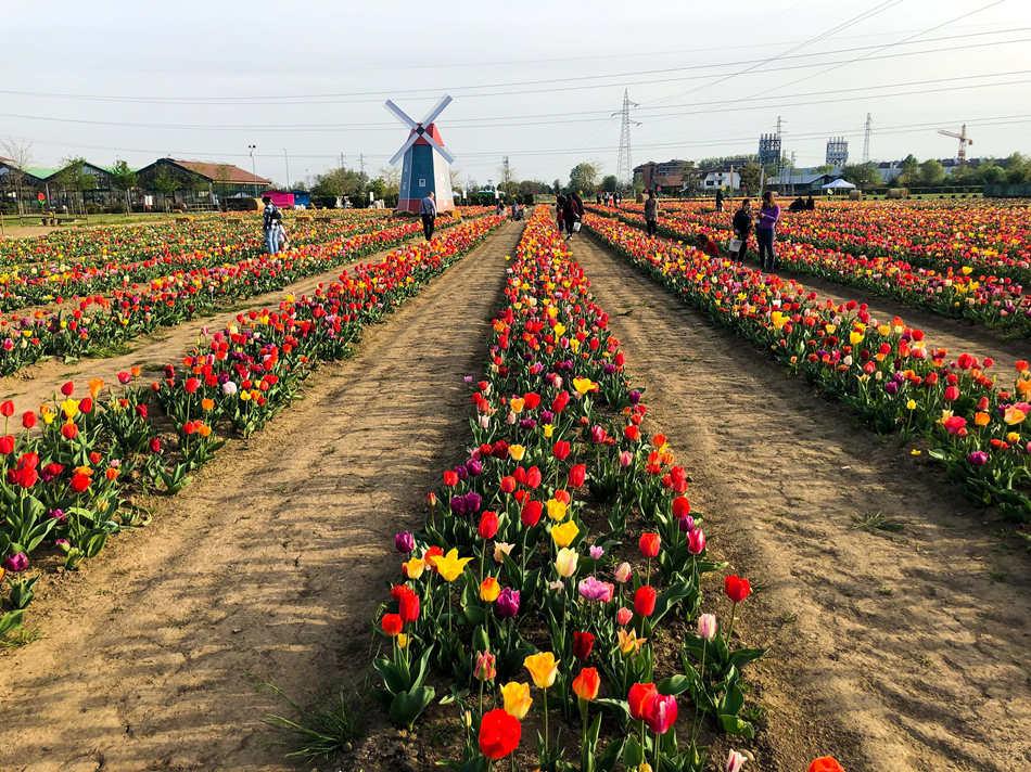 ҕXЇ(gu)(qun)ƷՈ(qng)D(zhun)d