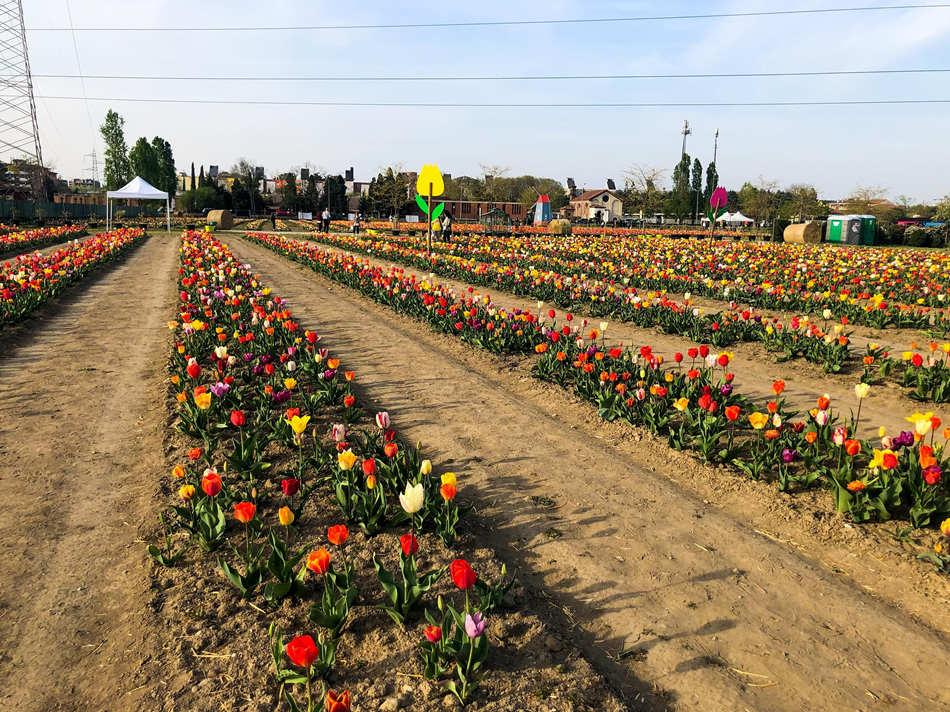 ҕX(ju)Ї(gu)(qun)ƷՈ(qng)D(zhun)d