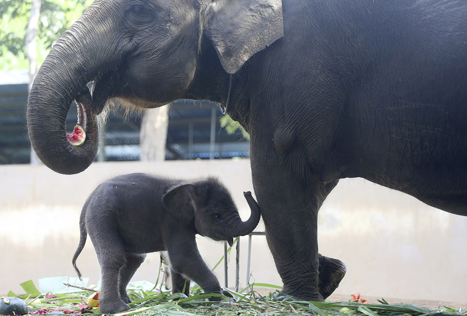 ҕXЇ(qun)ƷՈD(zhun)d