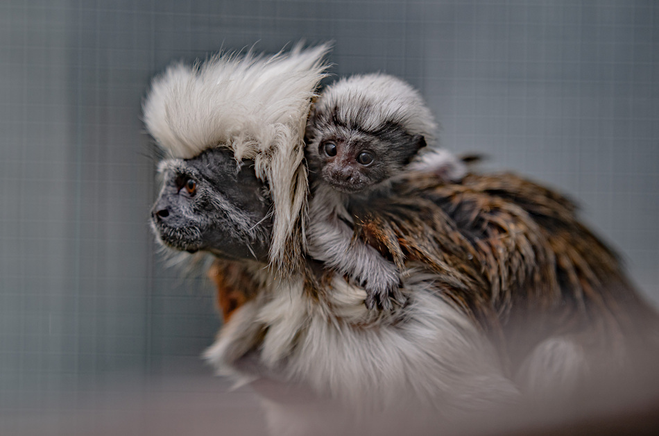 ҕXЇ(qun)ƷՈD(zhun)d