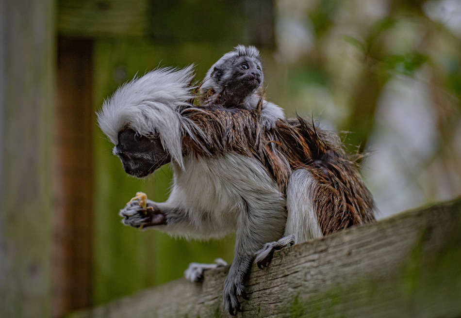 ҕXЇ(qun)ƷՈD(zhun)d