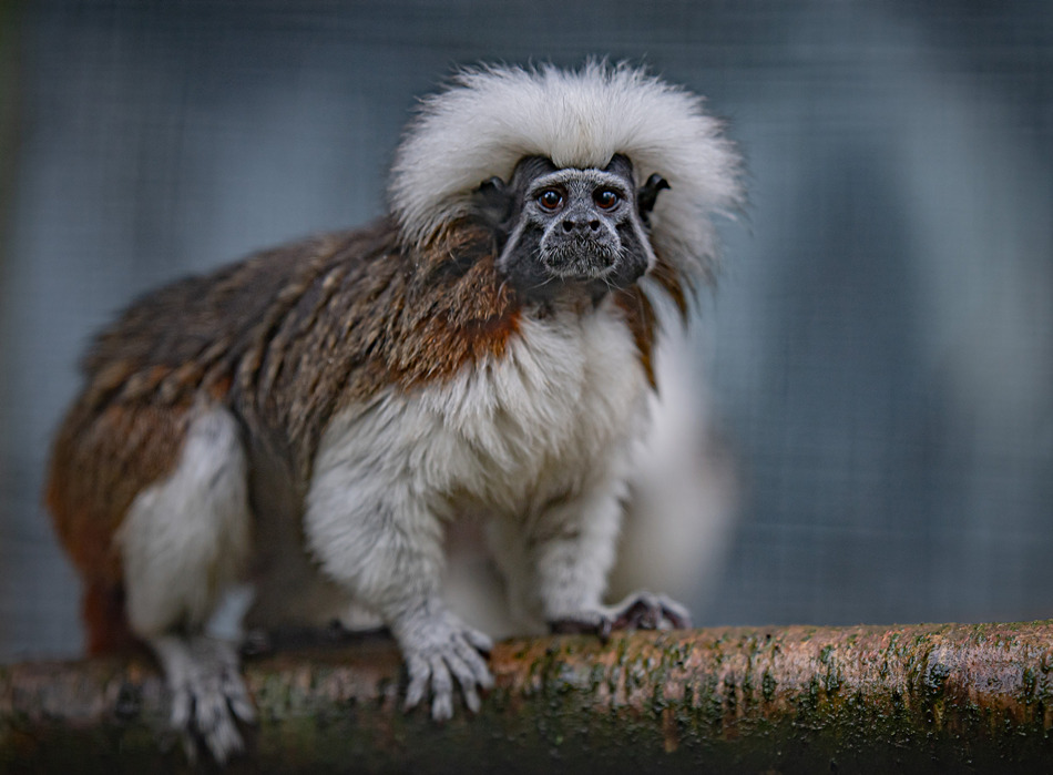 ҕXЇ(qun)ƷՈD(zhun)d