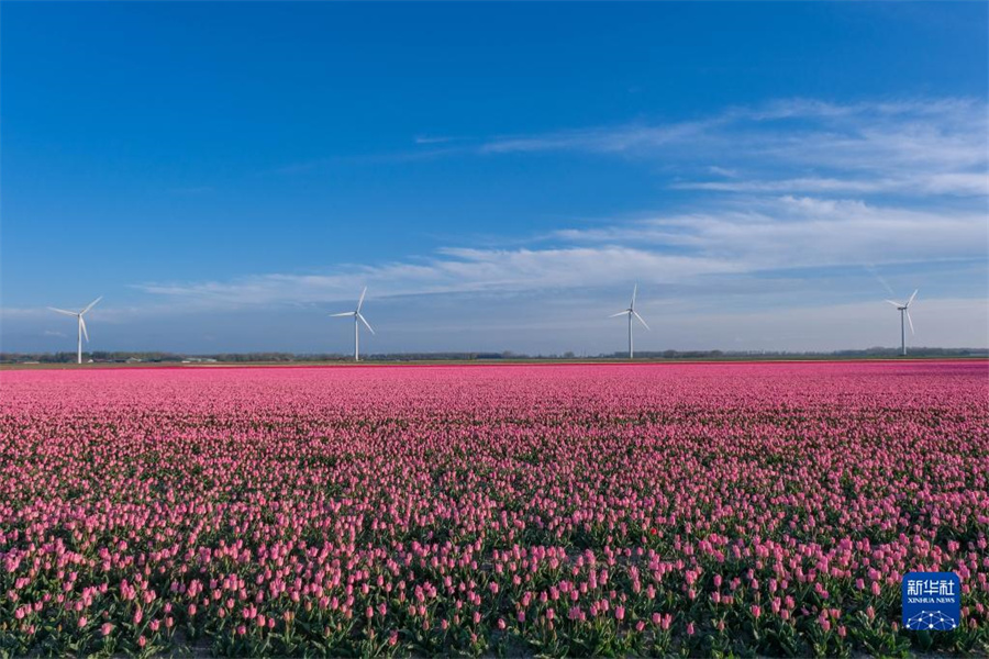 @414ںmRmʡĔz㻨Aӛ 䅔z